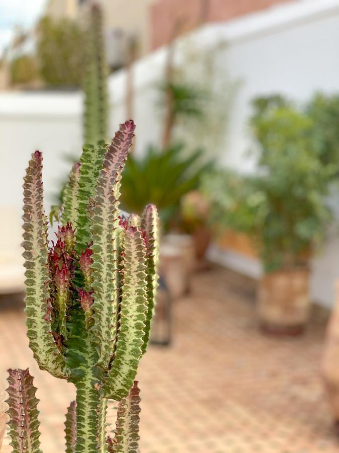 Riad Le Pelerin Marrakesh Eksteriør bilde