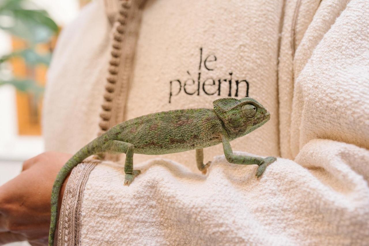 Riad Le Pelerin Marrakesh Eksteriør bilde